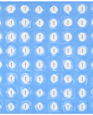 “Where are we today”